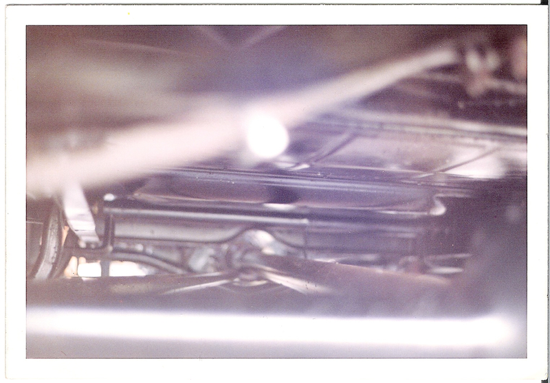 Illustration for article titled Scanned Some More Photos This Morning.